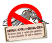 Dengue